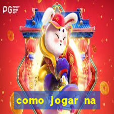 como jogar na lotinha do jogo do bicho